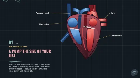 The Beating Heart — 1