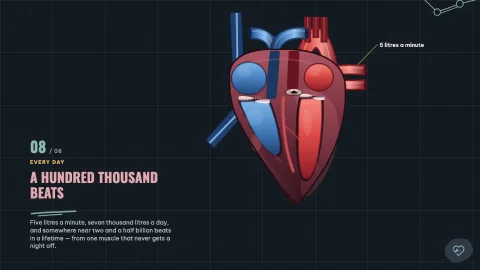 The Beating Heart — 8