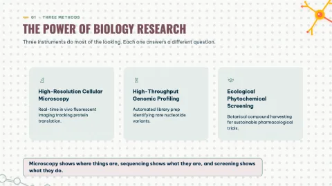 Biology Research - Fun Education — 6