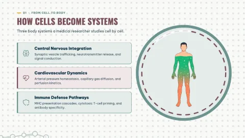 Biology Research - Fun Education — 9