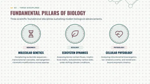 Biology Research - Fun Education — 13