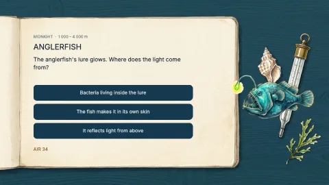 Deep Dive — 6