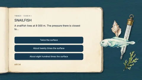 Deep Dive — 8