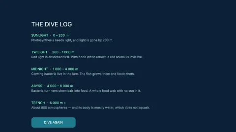 Deep Dive — 11