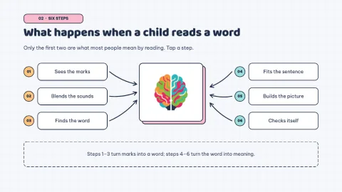Edugraphic — Education Infographic — 7