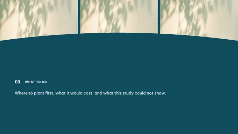 Field Notes — 22