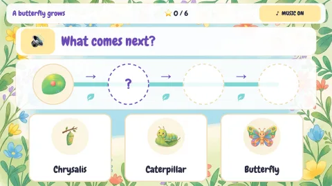 Life Cycle Garden — 3