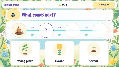 Life Cycle Garden — 6