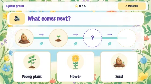 Life Cycle Garden — 7