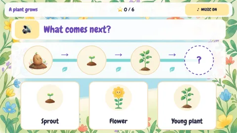 Life Cycle Garden — 8