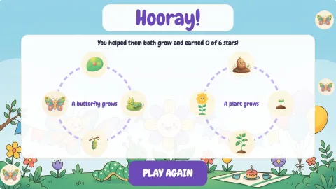 Life Cycle Garden — 9