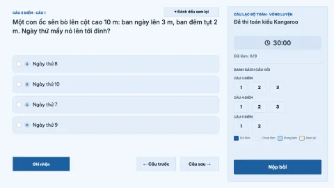 Kangaroo-style maths contest — 8