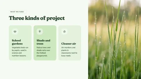 Meadow Impact Report — 3
