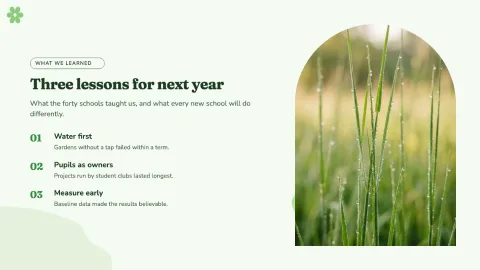 Meadow Impact Report — 8