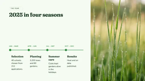 Meadow Impact Report — 13