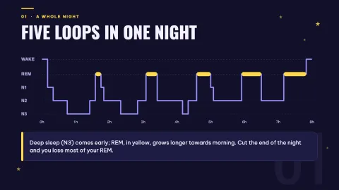 Night Shift: The Science of Sleep — 9