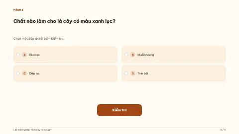 Mystery picture: what are we learning today? — 5