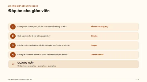 Mystery picture: what are we learning today? — 9