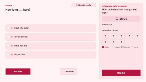 Present perfect or past simple? — 9