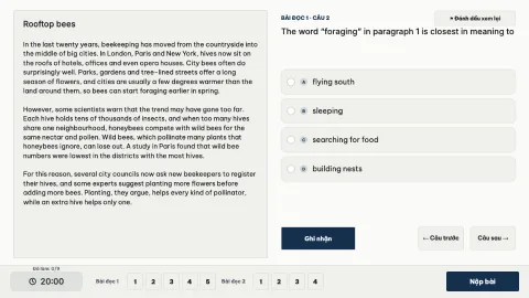 Reading: two passages — 3