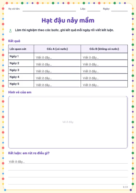 Science Observation Worksheet — 2