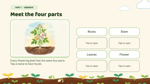 Sprout Lab — Plant Parts Daily Practice — 3