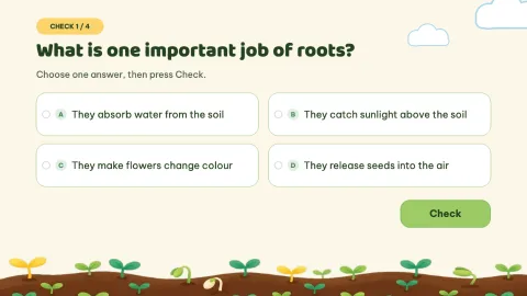 Sprout Lab — Plant Parts Daily Practice — 5