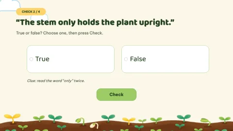 Sprout Lab — Plant Parts Daily Practice — 8