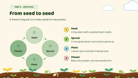 Sprout Lab — Plant Parts Daily Practice — 13