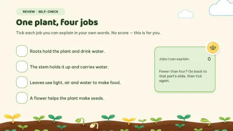 Sprout Lab — Plant Parts Daily Practice — 15