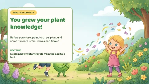 Sprout Lab — Plant Parts Daily Practice — 16