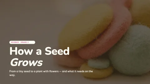 How a Seed Grows — 1