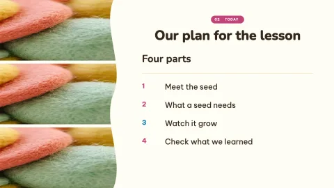 How a Seed Grows — 2