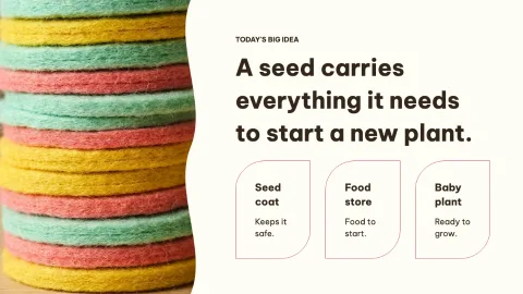 How a Seed Grows — 4