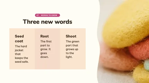 How a Seed Grows — 7