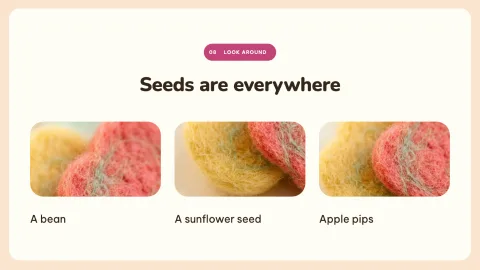 How a Seed Grows — 8