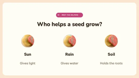 How a Seed Grows — 10