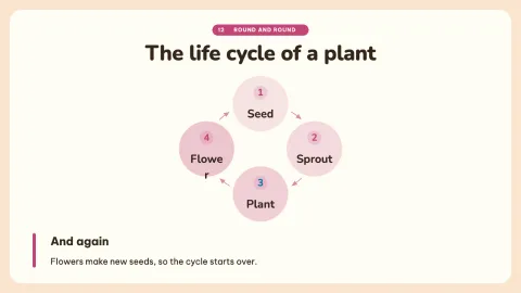 How a Seed Grows — 12
