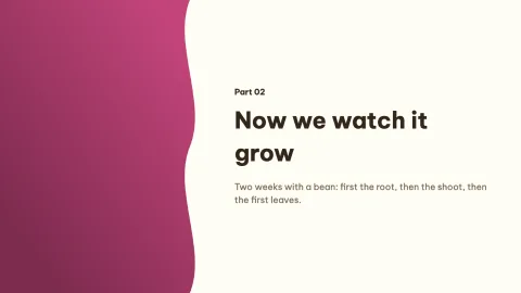 How a Seed Grows — 14