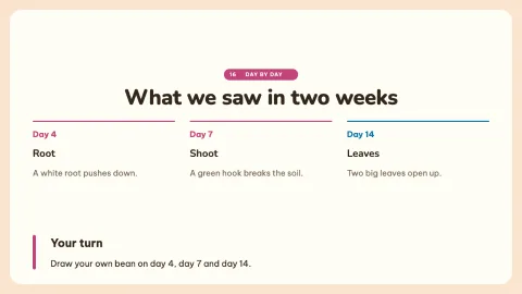 How a Seed Grows — 16