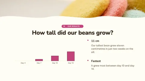 How a Seed Grows — 18