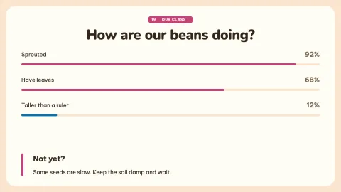 How a Seed Grows — 19