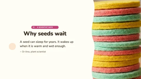 How a Seed Grows — 21