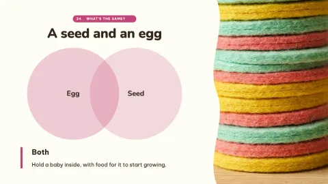 How a Seed Grows — 24