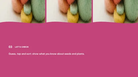 How a Seed Grows — 26