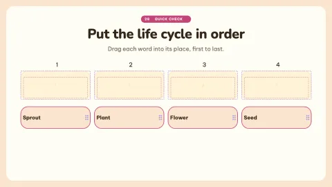 How a Seed Grows — 28