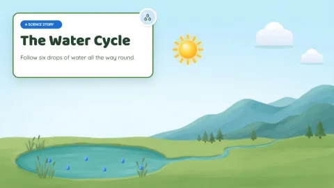 The Water Cycle — 1
