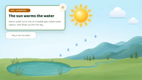 The Water Cycle — 3