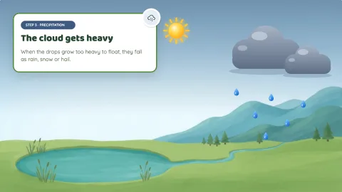 The Water Cycle — 5