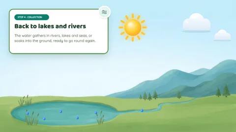 The Water Cycle — 6